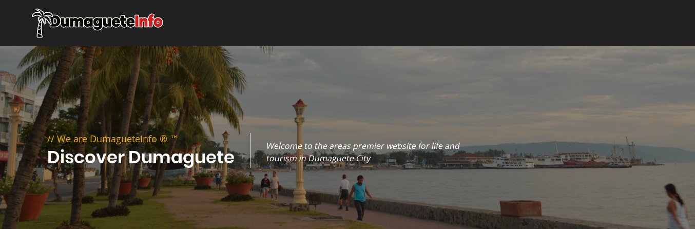 Membership Types and Registration Process for Dumaguete Info Forum