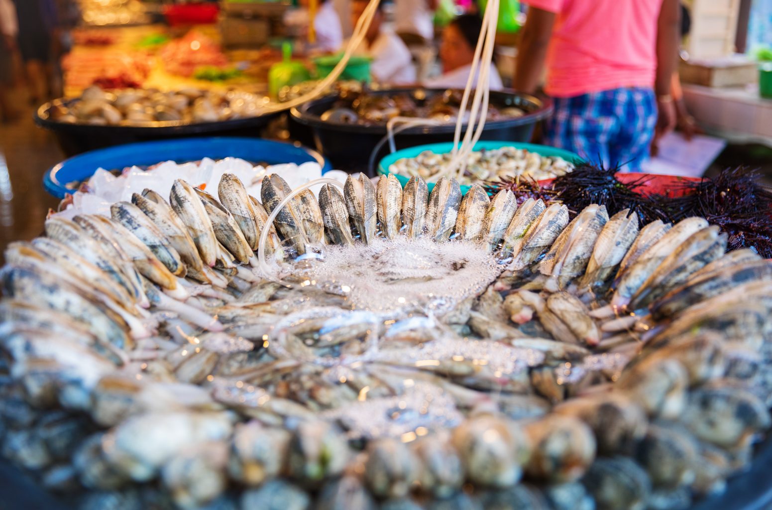 Shellfish for sale at an Asian market