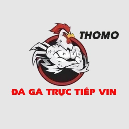 ĐÁ GÀ TRỰC TIẾP VIN