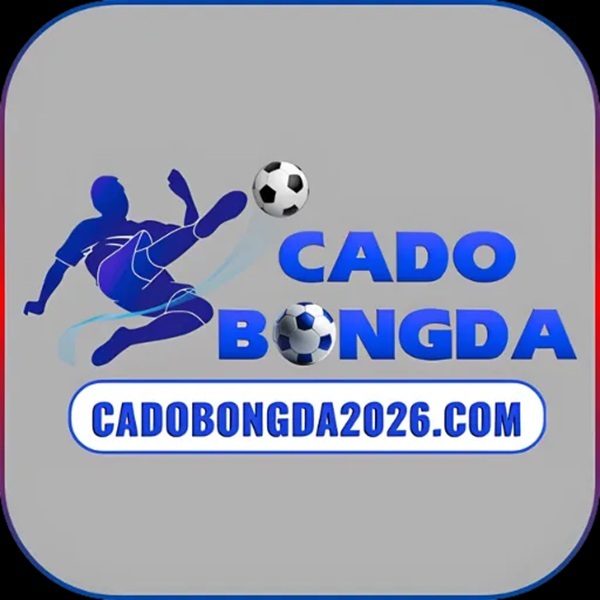 Web cá độ bóng đá