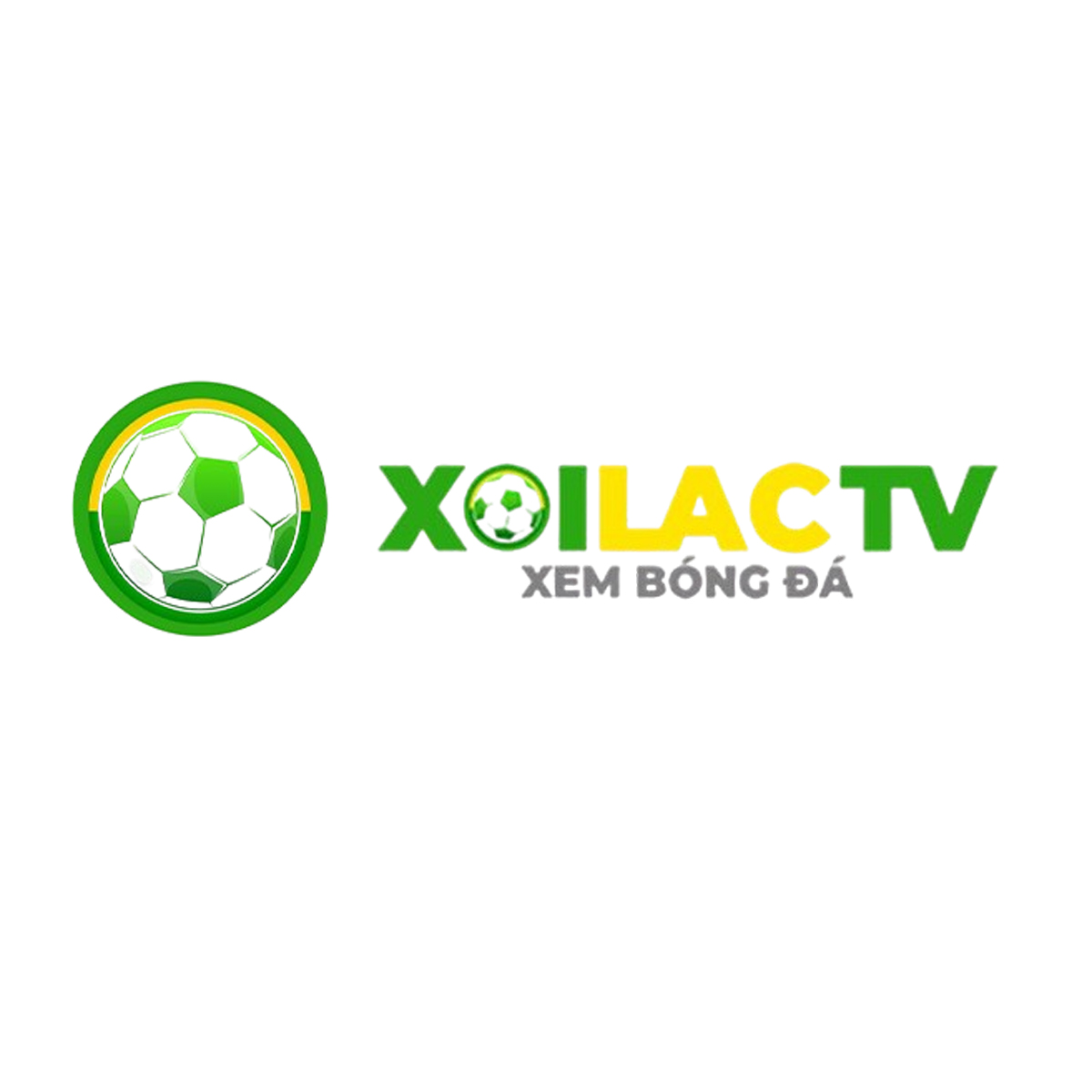 xoilactvcc