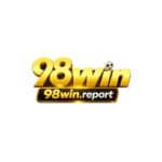 98winreport
