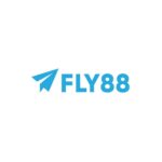 fly888y