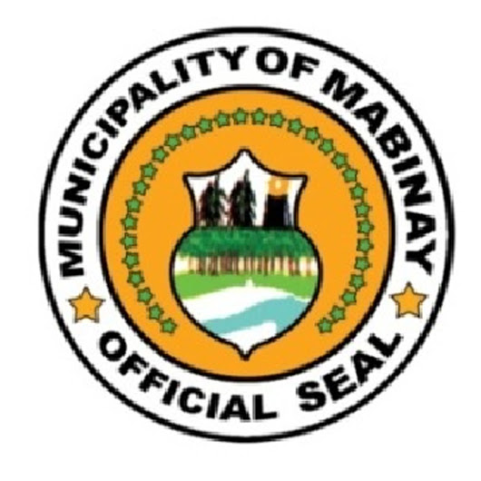 Image result for Mabinay municipal logo