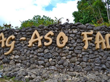 Mag aso falls