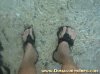 conv_332.jpg