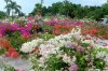 conv_878.jpg