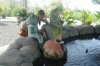 conv_881.jpg