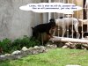 conv_939.jpg