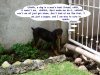 conv_943.jpg