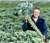 brusselsprouts3.jpg