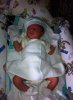 davy L's son.jpg