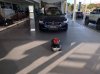 IMG_20160112_162651.jpg