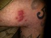 IMG_20160501_181331.jpg