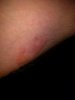 IMG_20160503_141147.jpg