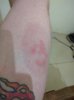 IMG_20160504_160801.jpg