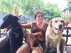 Dogs Attentive..jpg