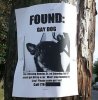 funny-gay-dog-missing-lost-and-found-notice.jpg