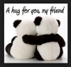 Happy-Hug-Day-Teddy-Bear-Images-Photos.png