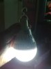 IMG_20170617_115159a.jpg