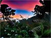 sunrise1.jpg
