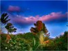 sunrise4.jpg