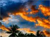Sunset1.jpg