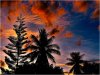 sunset2.jpg