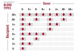 blod_donor_receiver.jpg