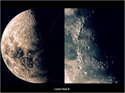 Lunar Day 8.jpg