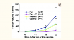 Screen Shot 2019-04-28 at 8.27.46 AM.png