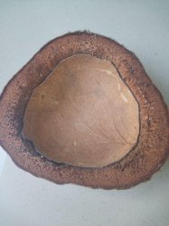 floor scrubber - bottom.jpg