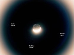 Moon and Beehive.jpg