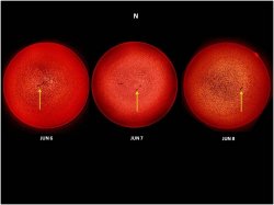Solar rotation.jpg