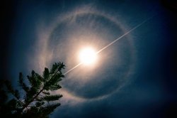 Lunar Halo.JPG