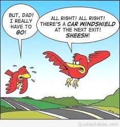 Funny-Best.jpg