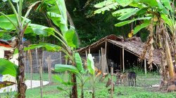 land for sale negros oriental 3.jpg