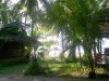 conv_3065.jpg