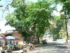 conv_3115.jpg