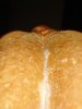conv_2913.jpg