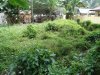 conv_6707.jpg