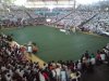 conv_6889.jpg