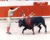 conv_8418.jpg