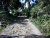 conv_9664.jpg