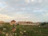 conv_9951.jpg