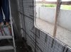 conv_10342.jpg
