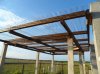 conv_10768.jpg