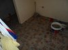 conv_10830.jpg