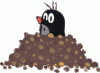 conv_10873.gif
