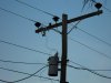 conv_10894.jpg
